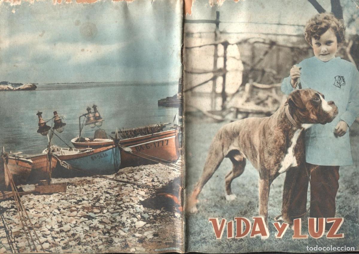 C&oacute;mics: Vida y Luz numero 106: El ruise&ntilde;or de Andersen, final cuento - Varios - Foto 2