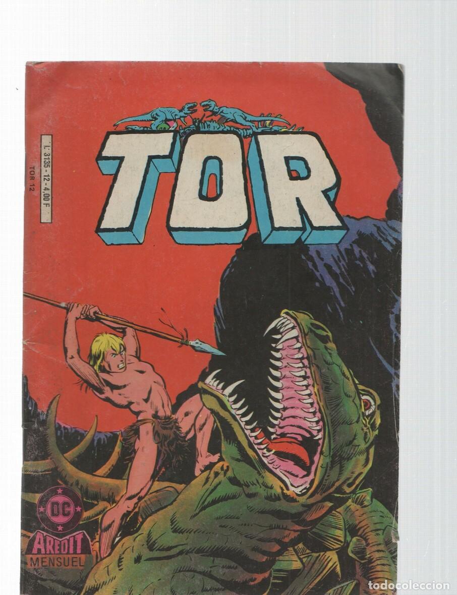 C&oacute;mics: Tor mensuel numero 12: Chevalier silencieux, Kong, etc - varios