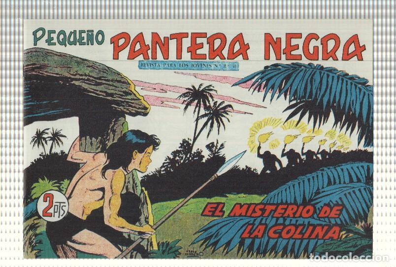 Comics: Facsimil: Peque&ntilde;o Pantera Negra, numero 222: El misterio de la colina -