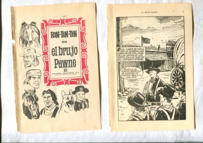 C&oacute;mics: Rin Tin Tin: El brujo Pawne, dibujos de Mainou ? - - Foto 1