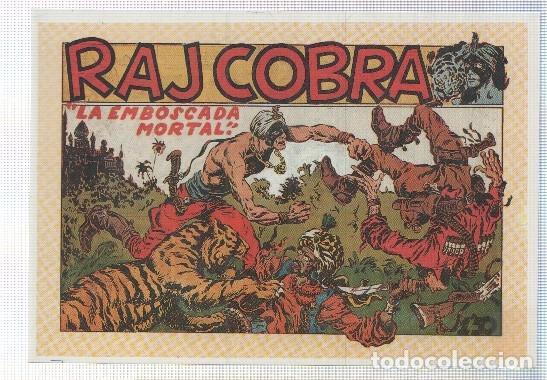 Comics: Ficha tebeo numerada 133: Raj Cobra, dibujo de J.Laffond y L.Vigil -