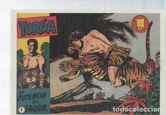 C&oacute;mics: Ficha tebeo numerada 143: Yorga , dibujo de G.Bonelli -