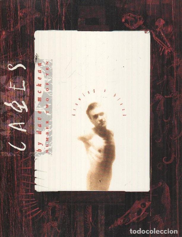 C&oacute;mics: Cages numero 2 - Drawing a blank - Dave McKean