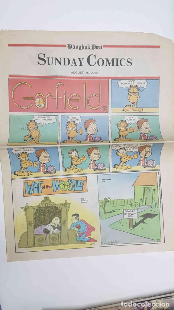 C&oacute;mics: Sunday Comics sugust 25, 2002. Bangkok Post - Garfield, Beetle Bailey, Animal Crackers - NULL - Foto 1