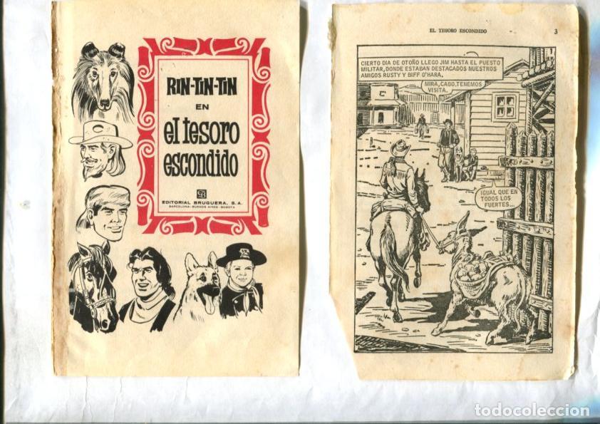 C&oacute;mics: Rin Tin Tin: El tesoro escondido, dibujos de Ambros - - Foto 1