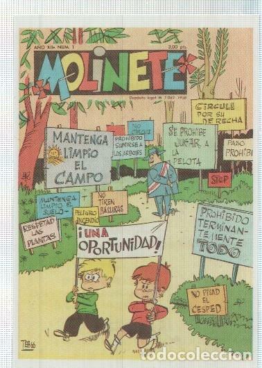 Comics: Ficha tebeo numerada 342: Molinete, edit Institucion Teresiana -