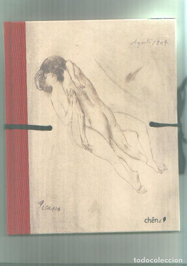 C&oacute;mics: Carnets erotiques: Pablo Picasso - - Foto 1