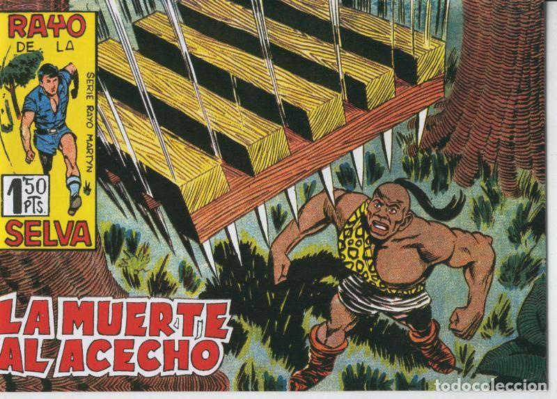 C&oacute;mics: Rayo de la Selva facsimil numero 34 - Antonio Guerrero - Foto 1