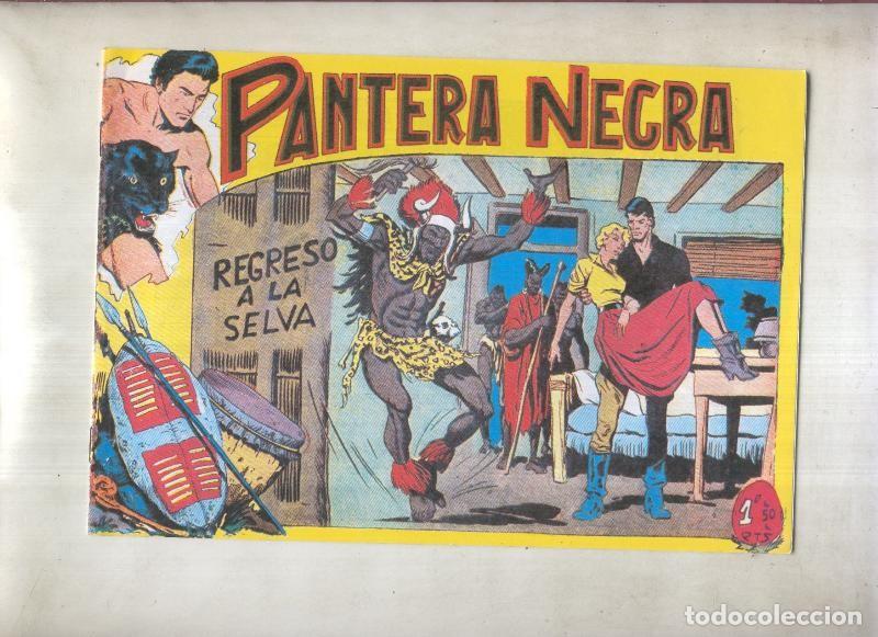 C&oacute;mics: Pantera Negra, facsimil numero 38: Regreso a la selva - Ortiz-Quesada - Foto 1