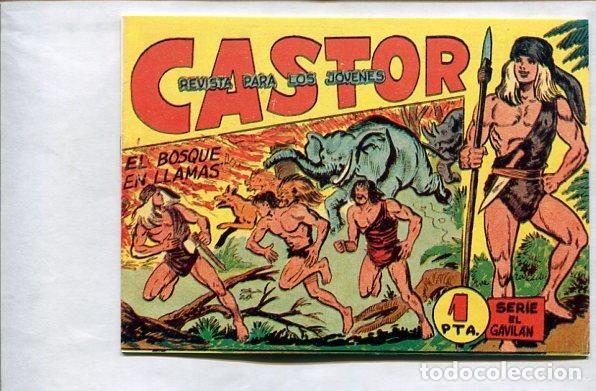 C&oacute;mics: Facsimil: Castor de Manuel Gago, numero 16: El bosque en llamas - Manuel Gago - Foto 1