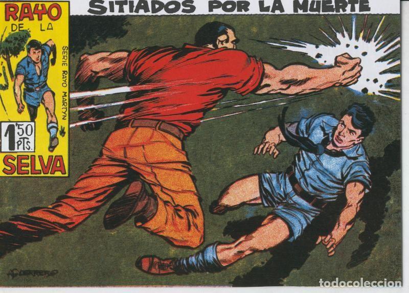 C&oacute;mics: Rayo de la Selva facsimil numero 25 - Antonio Guerrero - Foto 1