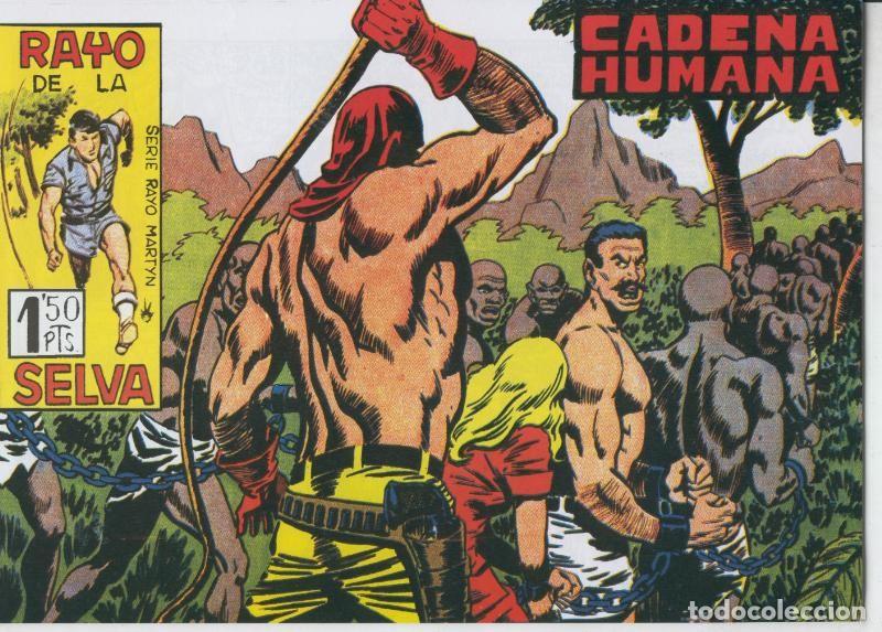 C&oacute;mics: Rayo de la Selva facsimil numero 42 - Antonio Guerrero - Foto 1