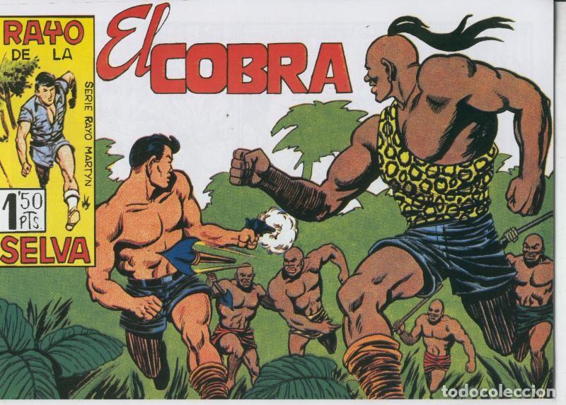 C&oacute;mics: Rayo de la Selva facsimil numero 41 - Antonio Guerrero - Foto 1