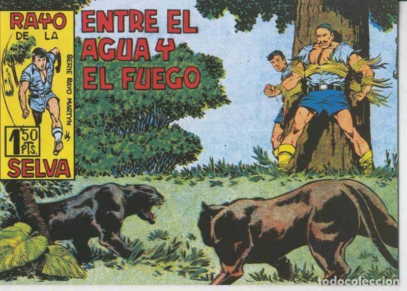 C&oacute;mics: Rayo de la Selva facsimil numero 15 - Antonio Guerrero - Foto 1
