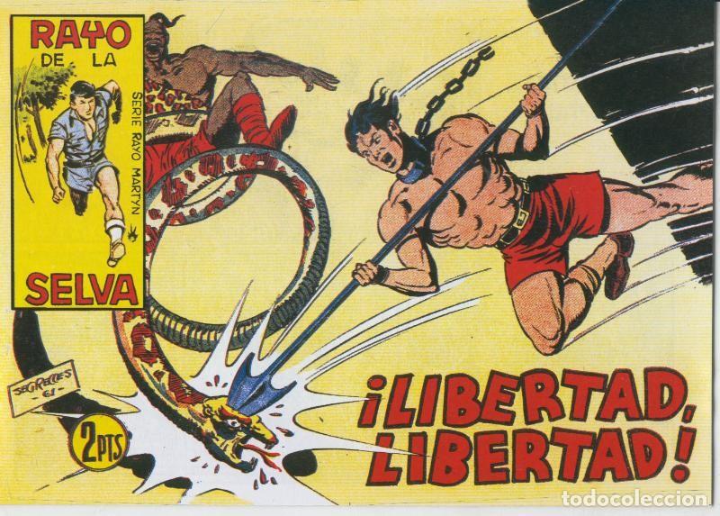 C&oacute;mics: Rayo de la Selva facsimil numero 59 - Antonio Guerrero - Foto 1