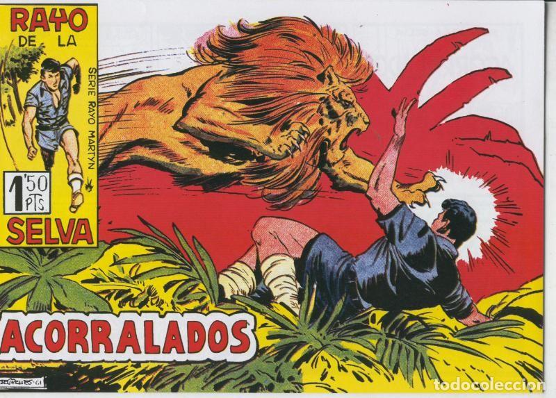 C&oacute;mics: Rayo de la Selva facsimil numero 49 - Antonio Guerrero - Foto 1