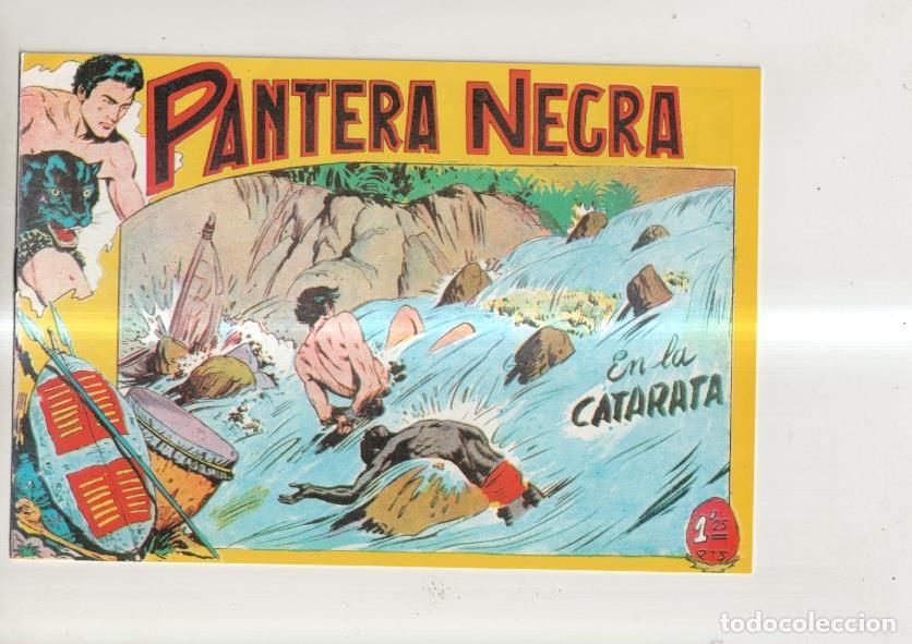C&oacute;mics: Pantera Negra, facsimil numero 16: En la catarata - Jose Ortiz - Foto 1