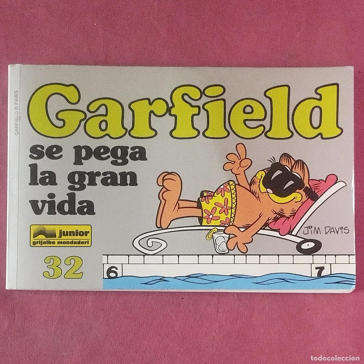 C&oacute;mics: GARFIELD SE PEGA LA GRAN VIDA - 32 - JIM DAVIS - ED. JUNIOR 1996 - Foto 1