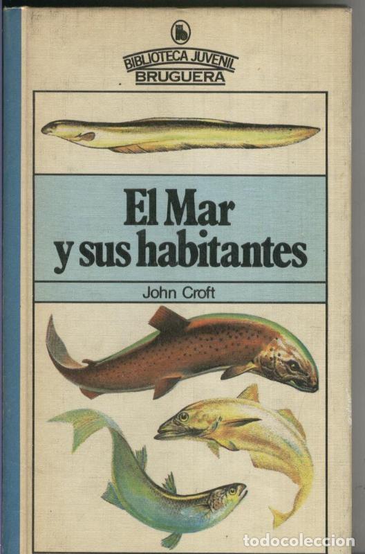 C&oacute;mics: El mar y sus habitantes - John Croft - Foto 1