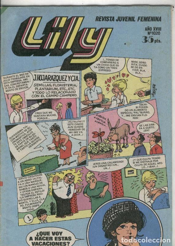 C&oacute;mics: Lily numero 1020: poster Leif Garret - Varios - Foto 1