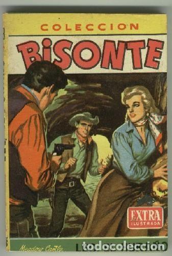 Comics: Bisonte Extra Ilustrada numero 308: Leo, el hura&ntilde;o - Meadow Castle