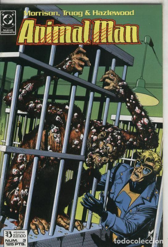 C&oacute;mics: Animal Man numero 03 - Grant Morrison - Foto 1