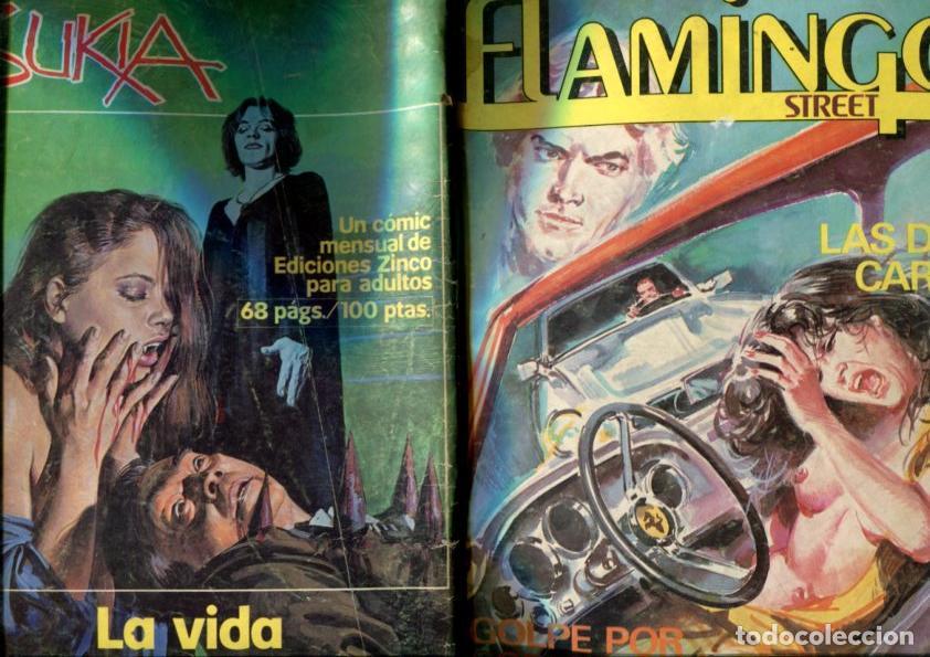 C&oacute;mics: Flamingo Street numero 10 (numerado 2 en interior cubierta) - Varios - Foto 1