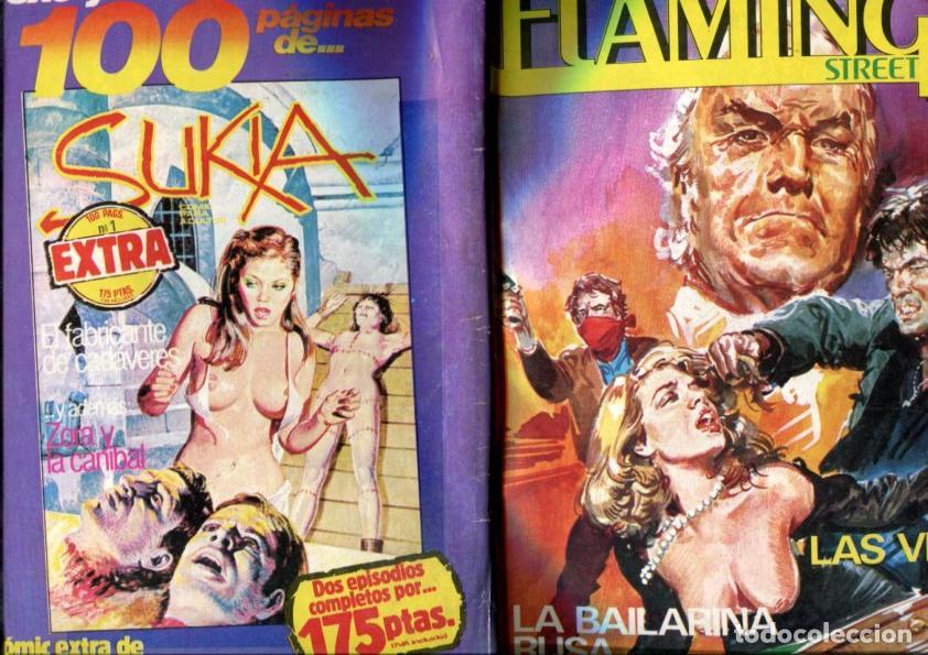 C&oacute;mics: Flamingo Street numero 24: (numerado 2 en interior cubierta) - Varios - Foto 1