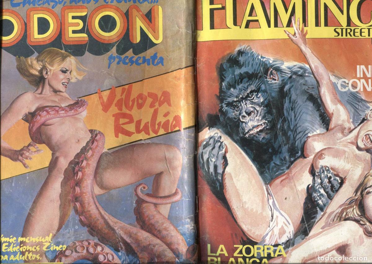 Comics: Flamingo street numero 23: (numerado 1 en trasera): Infame conjura y La zorra blanca - Varios