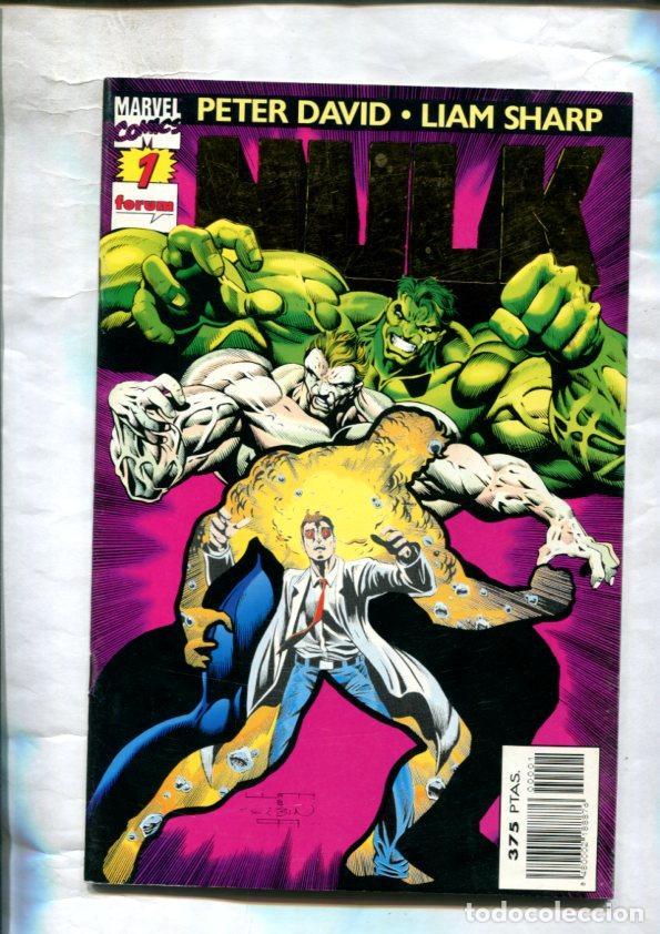 C&oacute;mics: Hulk volumen 2 numero 01: seis meses despues - Peter David-Liam Sharp - Foto 1