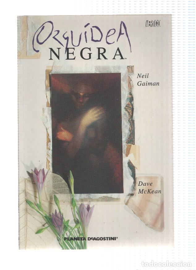 Comics: Vertigo: Orquidea negra - Neil Gaiman- Dave McKean