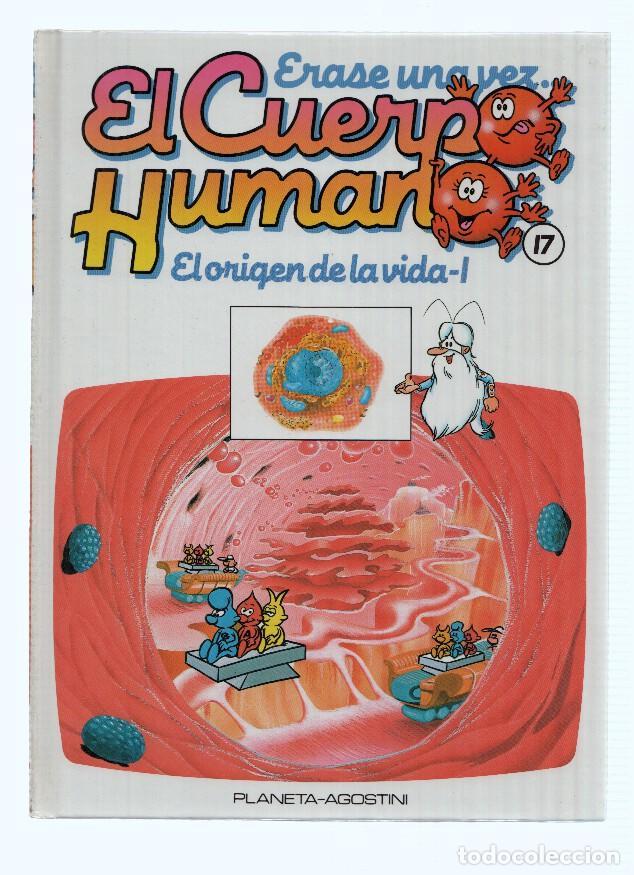 Fumetti: ERASE UNA VEZ EL CUERPO HUMANO, Numero 17: El Origen de la Vida I (Planeta 1985) - Ramon Llobet Colo