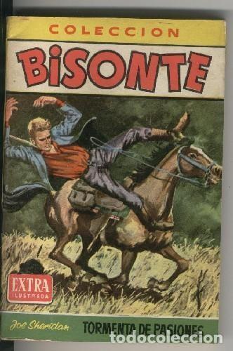 Comics: Bisonte Extra Ilustrada numero 310: Tormenta de pasiones - Joe Sheridan