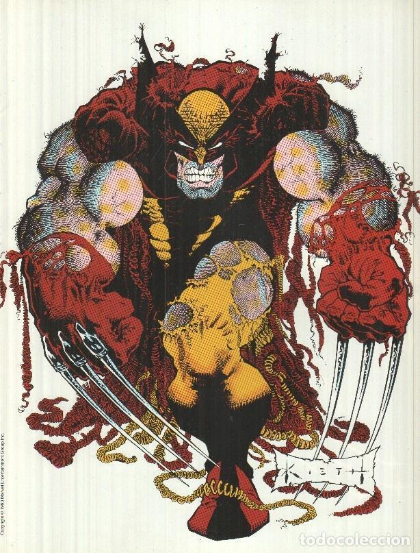 C&oacute;mics: Poster: Lobezno 15 - NULL - Foto 2