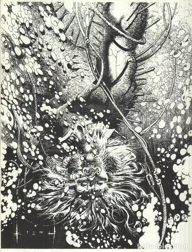 Comics : Poster: Lobezno 13 - NULL