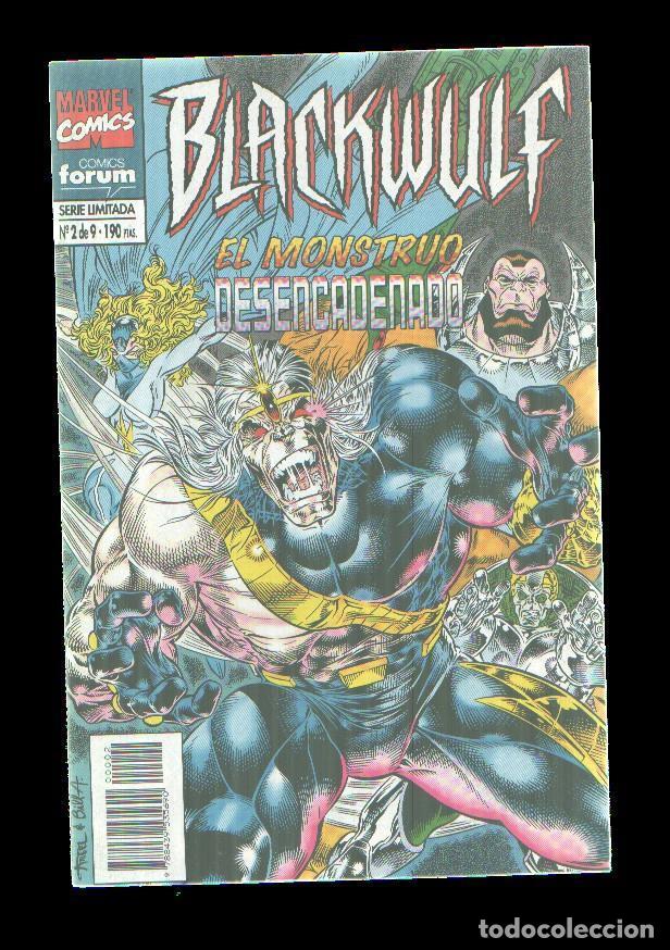 Comics: Blackwulf numero 2: el monstruo desencadenado - Varios