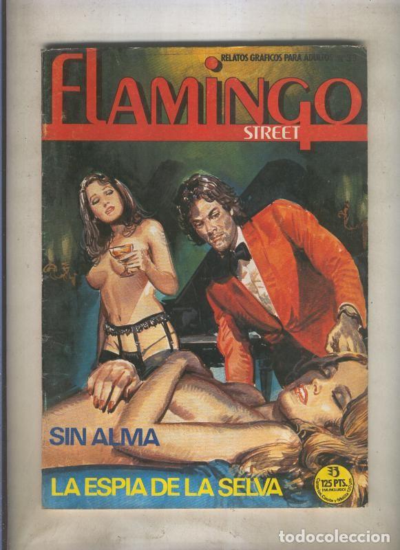 C&oacute;mics: Flamingo street numero 33 - Varios - Foto 1
