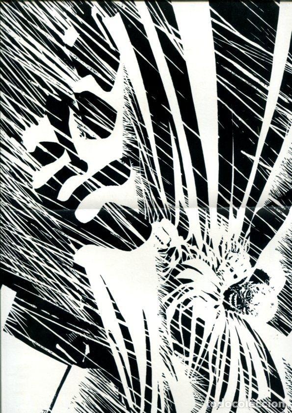 C&oacute;mics: Image poster Book: Deathblow y Spawn - Varios - Foto 2