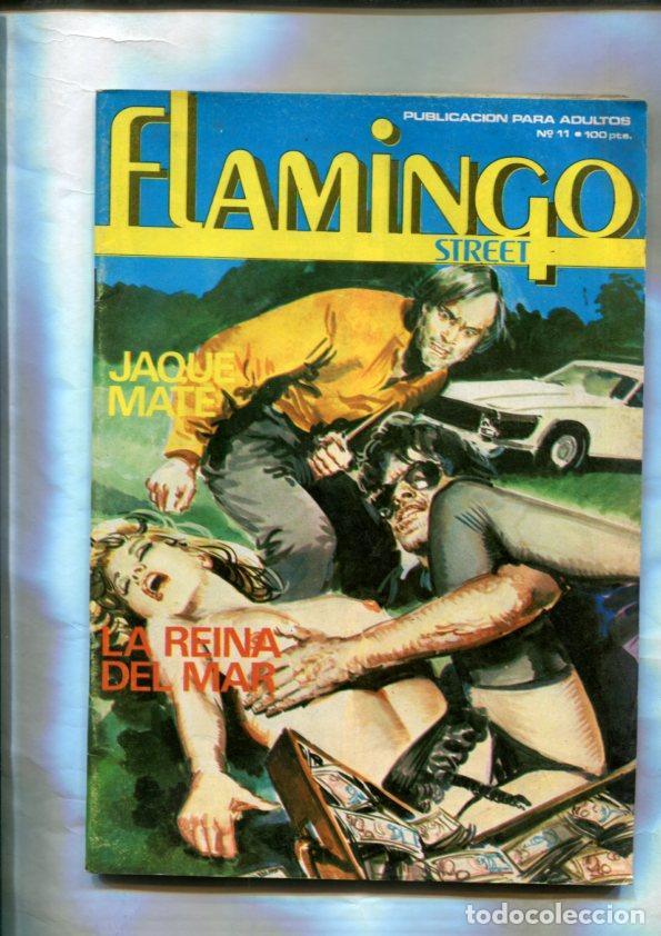C&oacute;mics: Flamingo Street numero 11 (numerado 1 en interior cubierta) - Varios