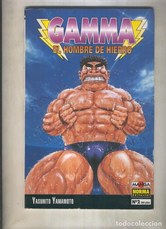 Comics: Gamma el hombre de hierro numero 02 (numerado 2 en interior trasera) - Yashuhito Yamamoto
