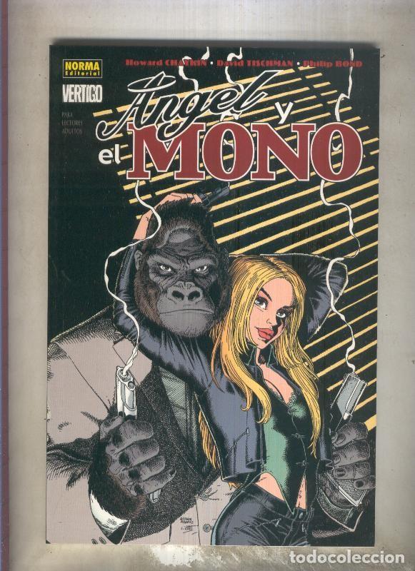 C&oacute;mics: Vertigo numero 245: Angel y el Demonio - Howard Chaykin - Foto 1