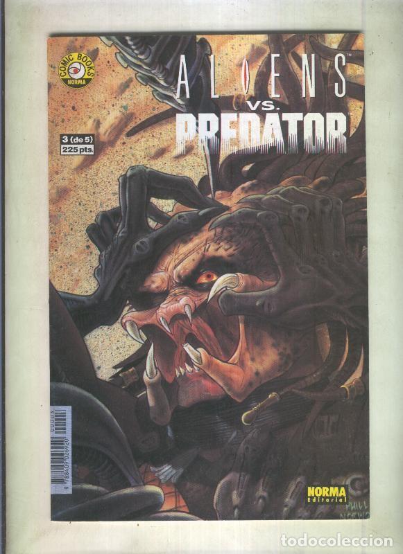 C&oacute;mics: Aliens vs Predator numero 3 - Stradley y Norwood - Foto 1