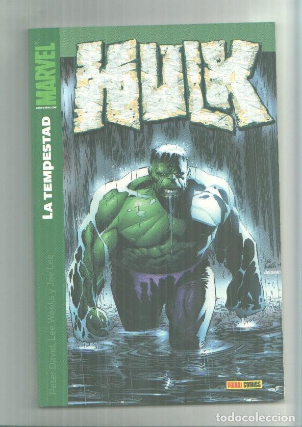 C&oacute;mics: Panini: Hulk numero 6: La tempestad - Peter David, Lee Weeks, Jae Lee - Foto 1