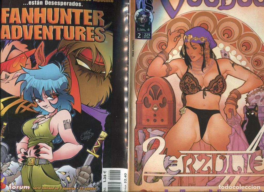 C&oacute;mics: Voodoo numero 2: Erzulie - Alan Moore - Foto 1