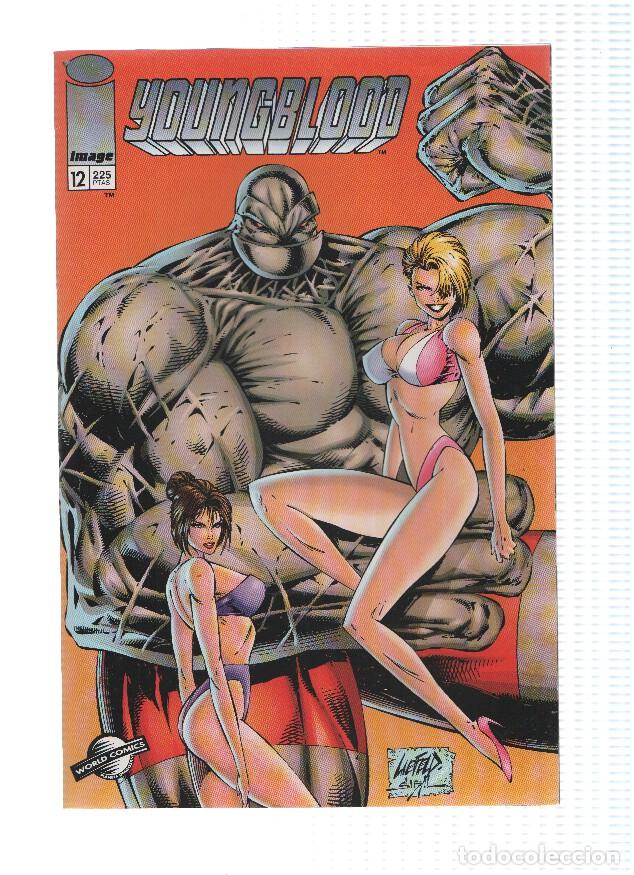 C&oacute;mics: YOUNGBLOOD, Volumen 01: Numero 12 - Rob Liefeld - Foto 1