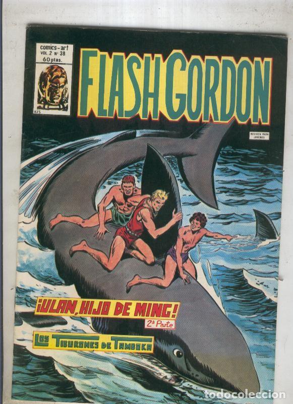 C&oacute;mics: FLASH GORDON Volumen 2 Numero 38 (numerado 2 en trasera) - VARIOS - Foto 1