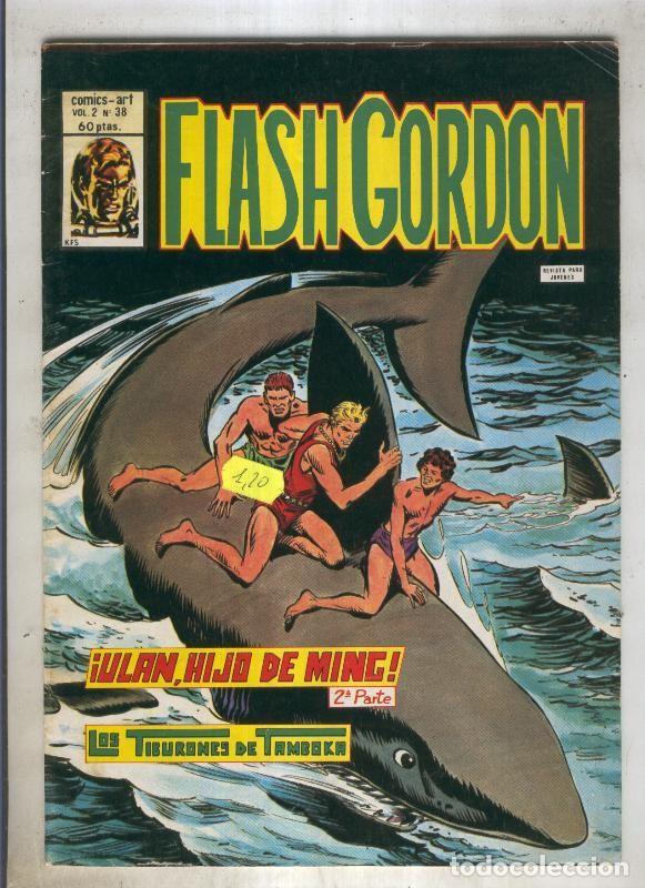 C&oacute;mics: FLASH GORDON Volumen 2 Numero 38 (numerado 3 en trasera) - VARIOS - Foto 1