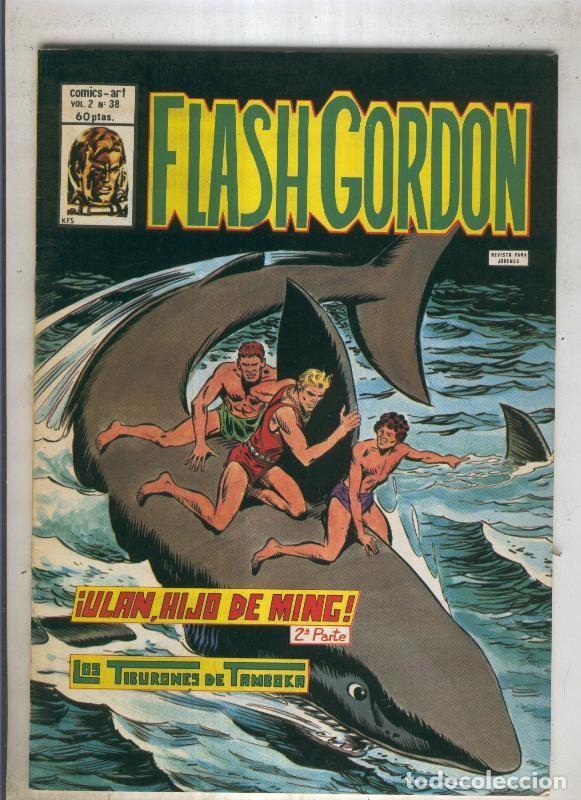 C&oacute;mics: FLASH GORDON Volumen 2 Numero 38 (numerado 1 en trasera) - VARIOS - Foto 1