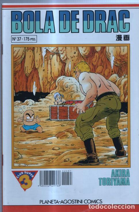 C&oacute;mics: Bola de Drac numero 037 - Akira Toriyama - Foto 1