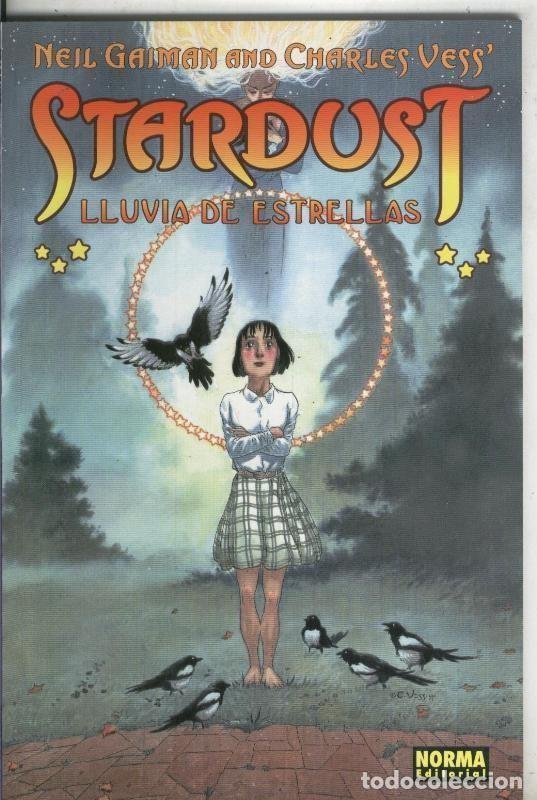C&oacute;mics: Stardust: Lluvia de estrellas - Gaiman-Clarke y Vess - Foto 1